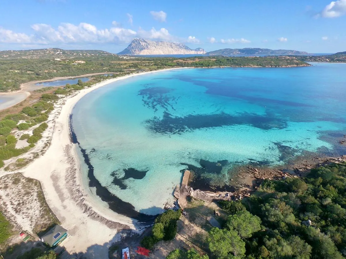 Iss Travel, Villa Fiorita - 800 M From La Cinta Beach サン・テオドーロ 0*,